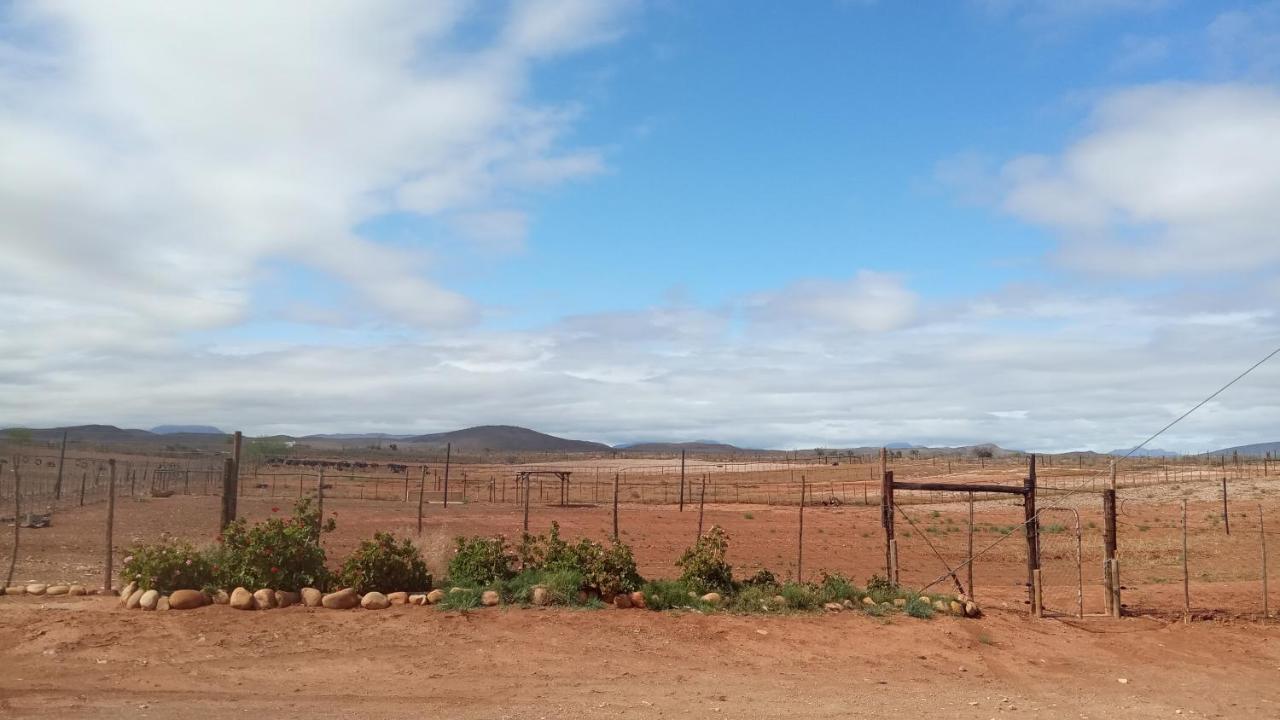 Pureplaas Self Catering Volmoed Oudtshoorn Klein Karoo Apartment Exterior photo
