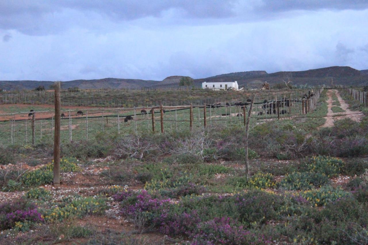 Pureplaas Self Catering Volmoed Oudtshoorn Klein Karoo Apartment Exterior photo