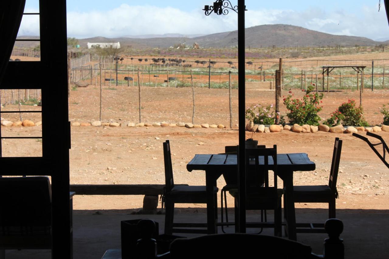Pureplaas Self Catering Volmoed Oudtshoorn Klein Karoo Apartment Exterior photo
